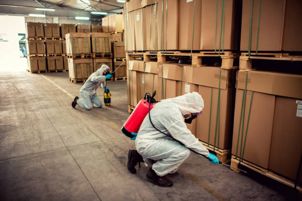 Flea Control Services in Valley Grande, AL