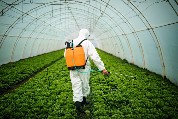 Best Pest Control Cost  in Vley Grande, AL