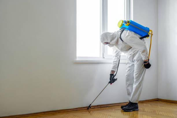 Best Bed Bug Extermination  in Vley Grande, AL
