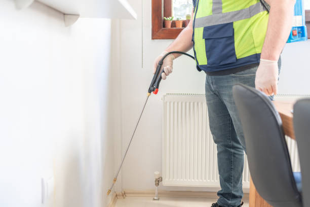 Best Best Pest Control Companies  in Vley Grande, AL