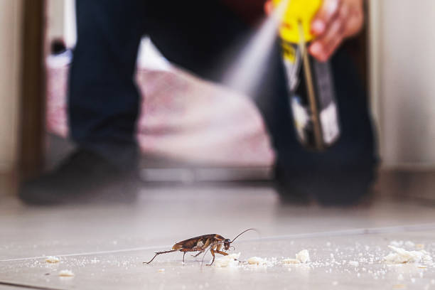 Pest Control Cost in Valley Grande, AL