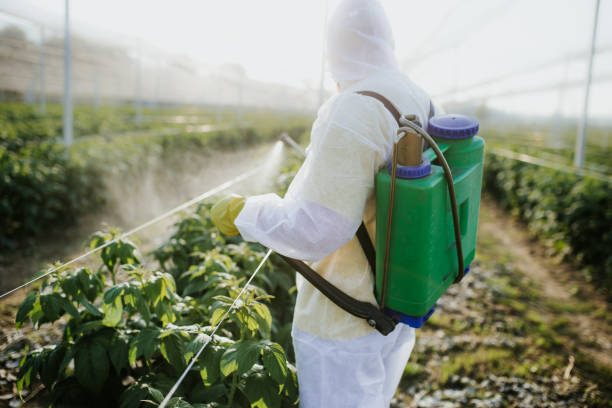 Trusted Valley Grande, AL Pest Control Experts